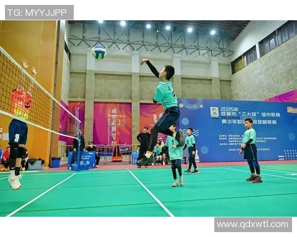 成都排球队包夹战术创新引领新潮流助力球队崛起